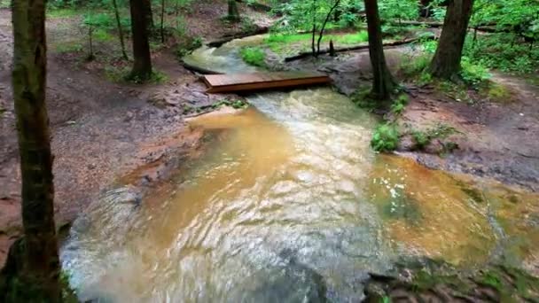 Zoom Shot Crystal Creek Surrounded Fallen Autumn Leaves Vibrant Trees — Stok video