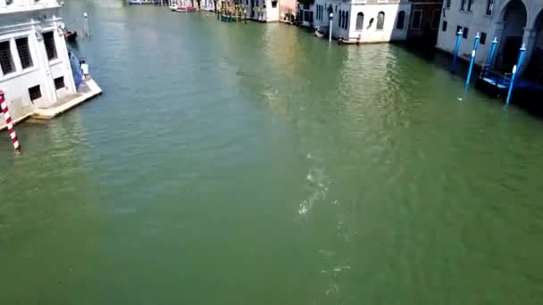 Timelapse Słynnego Mostu Realto Wenecji Włochy — Wideo stockowe