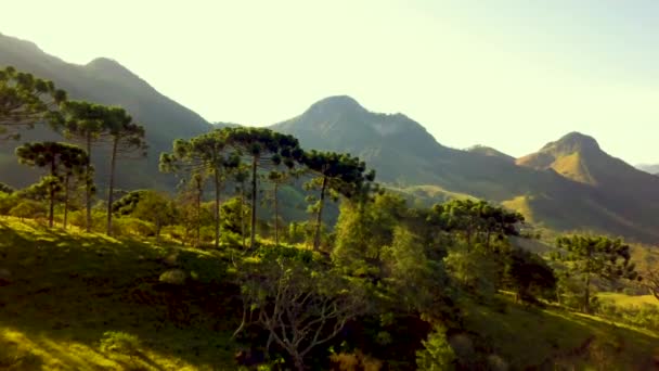 Aerial Dolly Green Jagged Mountain Peaks Trees Foreground — Vídeo de Stock