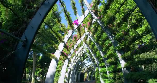 Dolly Beautiful Landscape Promenade Archways South Bank Parklands South Brisbane — Stok video