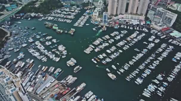 Panoramic Aerial View Typhoon Shelter Made Hundreds Boats Aberdeen Hong — Vídeo de Stock