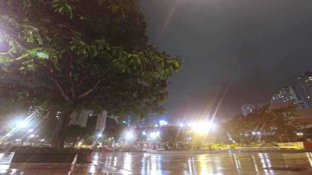 Timelapse Hong Kong Raining Lightning — Video