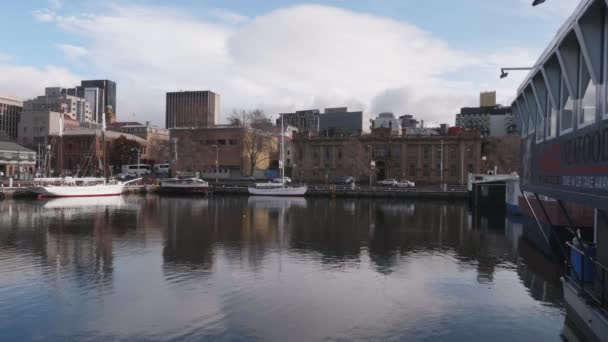 Stunning View Famous Constitution Dock Seagull Flies Water Traffic Drives — Stockvideo