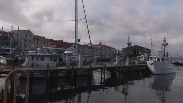 Tarihi Hunter Street Henry Jones Ixl Mac Önündeki Tekne Rıhtımında — Stok video