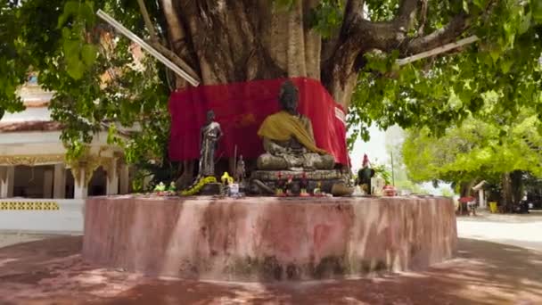 タイの寺院で花で飾られた仏像に座って菩提樹 — ストック動画