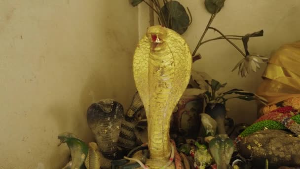 Statue Old Monk Snakes Lotus Flowers Thai Buddhist Temple — Stockvideo