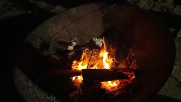 Roating Mashmallow Doces Calor Lenha Acampar — Vídeo de Stock