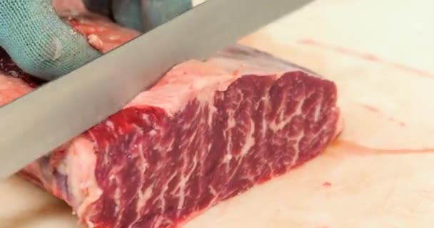 Chef Cuts Raw Meat Knife — стоковое видео