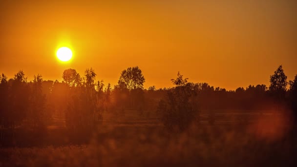Dramatic Sunset Till Sunrise Horizon Countryside Spring Meadows Timelapse — Stockvideo