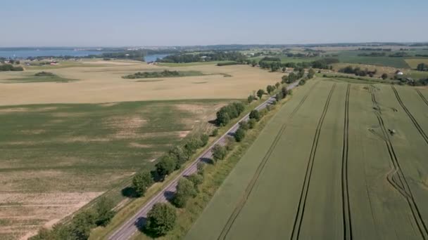 Romantic Country Road Trees Left Right Winds Mazury Region Poland — Stockvideo