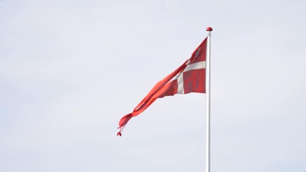 National Flag Denmark Flagpole Waving Wind Close — 图库视频影像