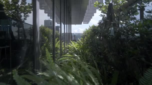 Ofis Binası Nın Bahçesi Balkonunda Ofis Ormanı Ndaymışsın Gibi Görünüyor — Stok video