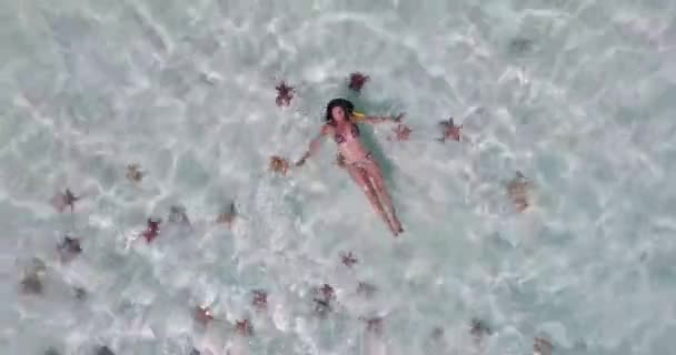 Sexy Woman Swim Starfish Clear Crystal Sea Aerial Top View — Video Stock