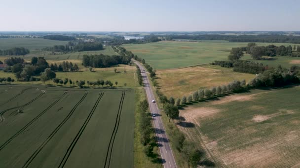 Grain Fields Mazury Region Poland Drone Flight Aerial Bird Flyover — Stockvideo