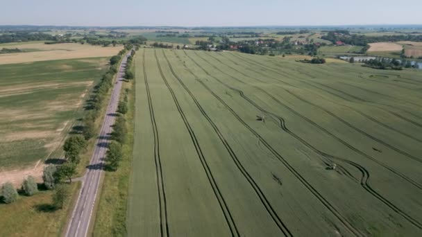 Grain Field Mazury Region Poland Drone Flight Aerial Bird Flyover — Stock Video