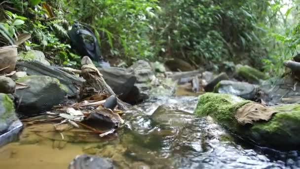 Close Shot Handheld Small Stream Asia Vietnam Sapa — Video