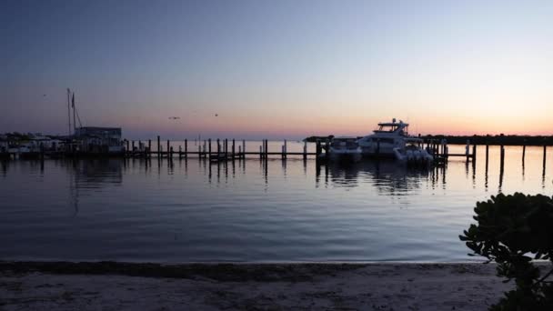 Relaxing Twilight Video Birds Flying Boat Dock Captiva Beach Channel — Vídeo de Stock