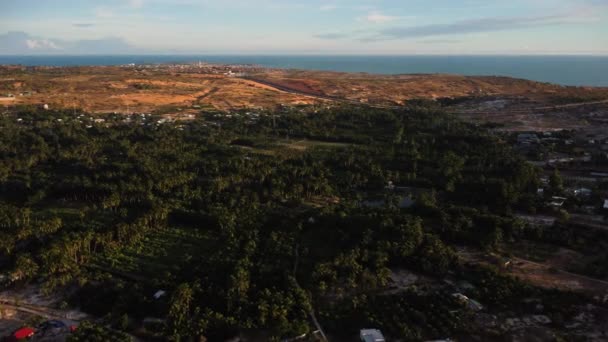 Coconut Palm Forest Sand Dunes Oasis Vietnam — Stockvideo