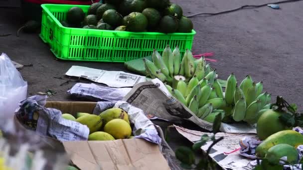 Set Vietnamese Tropical Harvested Fruits Being Sold Street Asian Local — Stock video