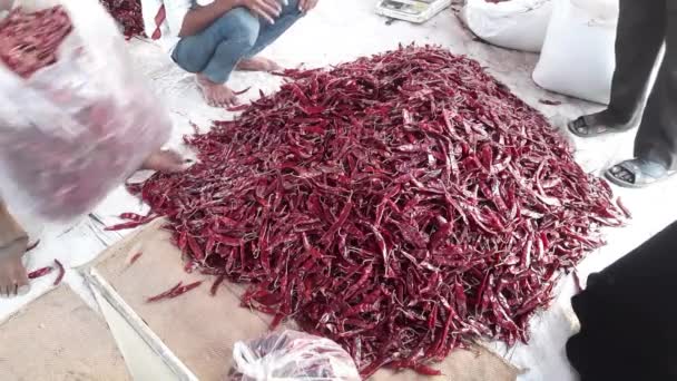 Pepper Seller Sale Dry Red Pepper Chili Mirchi Street Shop — Stockvideo