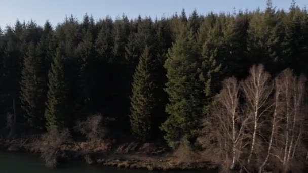 Mix Pines Leafless Deciduous Trees Shore Lake Germany Sunset Aerial — Stock video