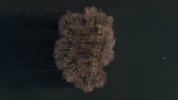 Small Island Covered Leafless Trees Turquoise Lake Sunset Aerial Top — Video Stock