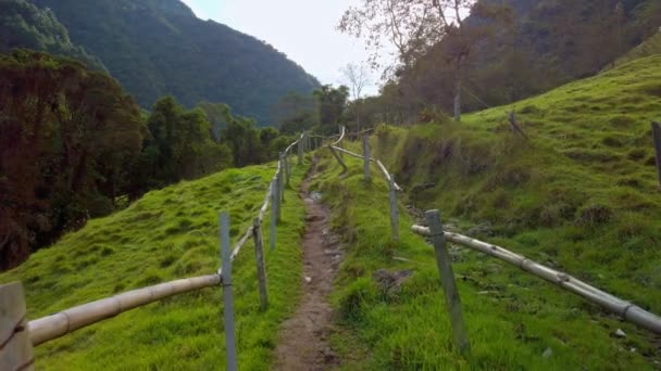 Pov Shot Grass Pathway Slope Lush Green Vegetation Covering Mountain — Wideo stockowe