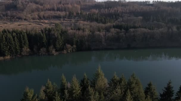 Turquoise Lake Brown Forest Landscape Revealed Tall Pine Trees Aerial — Stockvideo