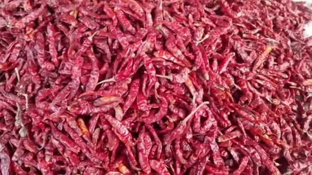 Varieties India Dry Red Chilli Gavran Mirchi Street Road Camere — 图库视频影像