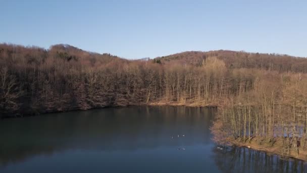 Brown Leafless Trees Meet Fresh Blue Waters Artificial Lake Winter — Stock video