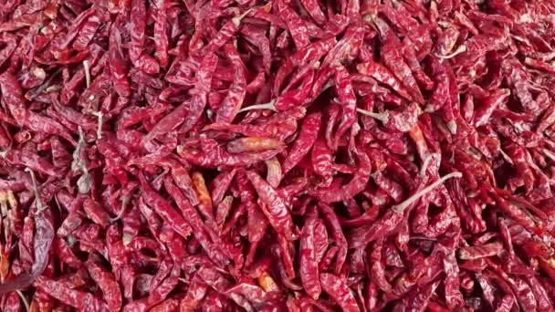 Dried Red Chili Peppers Sacks Sale Market India Guarani Chili — Stockvideo