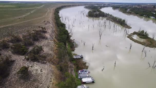 Drone Shot Flooded Muddy River South Australian Riverland — Vídeos de Stock