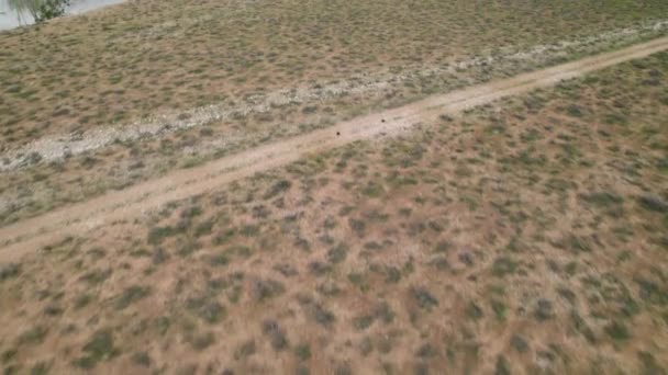 Ένα Drone Shot Μιας Γέφυρας Στο Νότιο Αυστραλιανό Riverland — Αρχείο Βίντεο