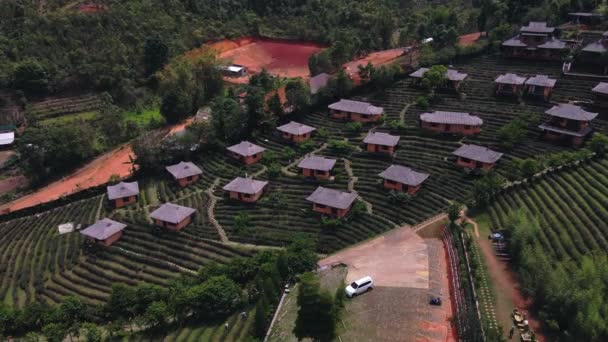 Aerial Drone Rotating Shot Rak Thai Village Tea Plantation Morning — Stock videók