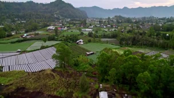Bali Island Indonesia Rural Remote Village Asia Vibes Rice Field — Wideo stockowe