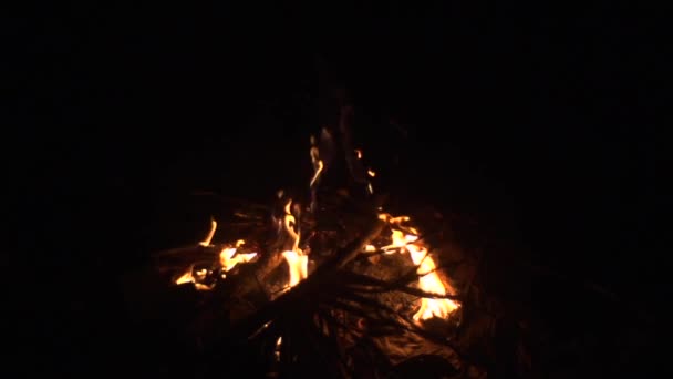Soft Flames Burning Brightly Camp Fire Filmed Slow Motion Dark — Video Stock