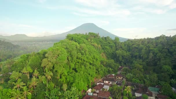 Flores Island Inland Rural Jungle Rice Field Terraces Tropical Palm — ストック動画