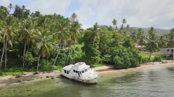 Abandoned Boat Stranded Beach Coastline Palm Trees — Video Stock