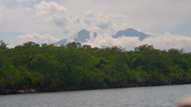 Flores Indonesia Komodo Εθνικό Πάρκο Αμόλυντο Φυσικό Νησί Θέα Στα — Αρχείο Βίντεο