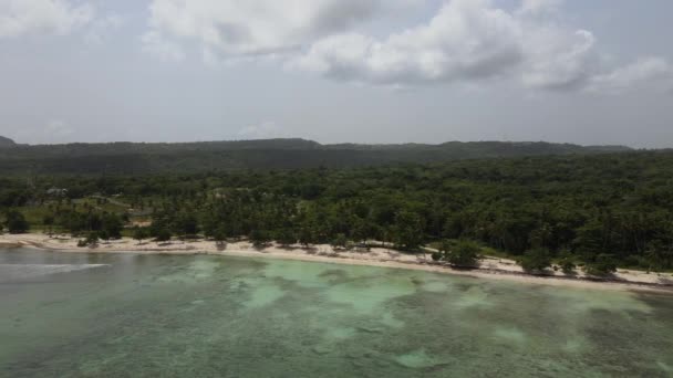 Areal View Beach Coastline Lot Palm Trees Visible Long Mountain — 图库视频影像