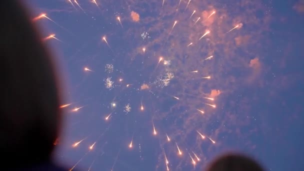 Fireworks Celebration Independence Day National Holiday Silhouette Enthusiast People Look — Vídeo de Stock
