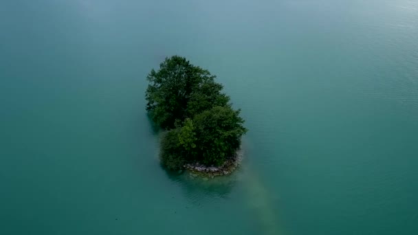 Small Island Trees Drone Footage Water Area Island Middle — Stockvideo