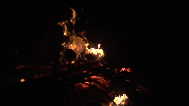 Blazing Hot Flames Rising Burning Intensely Wood Fire Filmed Slow — Video