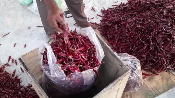Pepper Seller Dry Red Chilies Weighing Packets Red Chilies Digital — Stock video