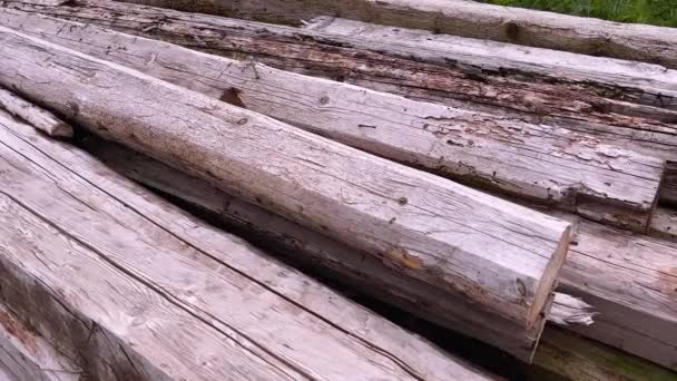 Stack Old Unused Wooden Logs Handheld Lateral Shot — Vídeos de Stock