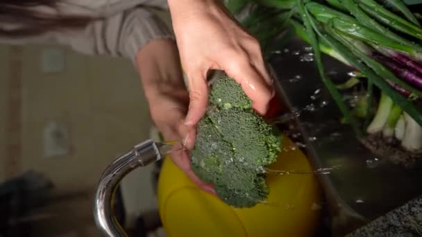 Handen Van Een Vrouw Die Broccoli Wast Met Stromend Water — Stockvideo