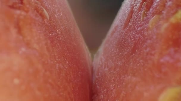 Epic Macro Food Shot Moving Backwards Flesh Red Ripe Watermelon — 비디오