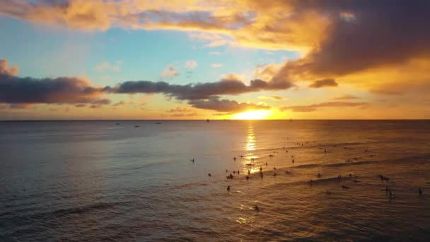 Lineup Surfers Catching Sets Waves Sunset Famous Waikiki Beach Dawn — Vídeo de Stock