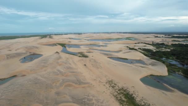 Back Traveling Drone Dune Lagoons Northeastern Brazil Magical Sunset Light — Videoclip de stoc