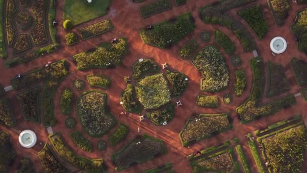 Вид Зверху Вниз Симетричних Фігур Саду — стокове відео